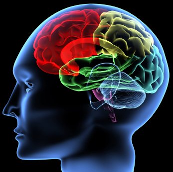 Scanning of a human brain by X-rays